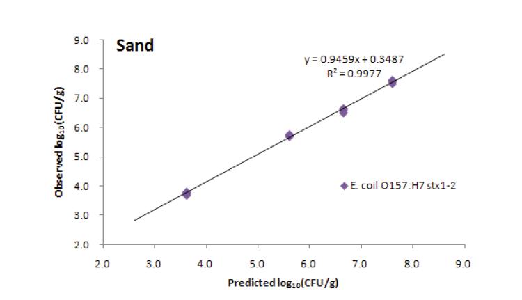 Comparison of E. coli O157:H7 △stx1-2 counts in sand with those levels predicted by counts in the inocula.