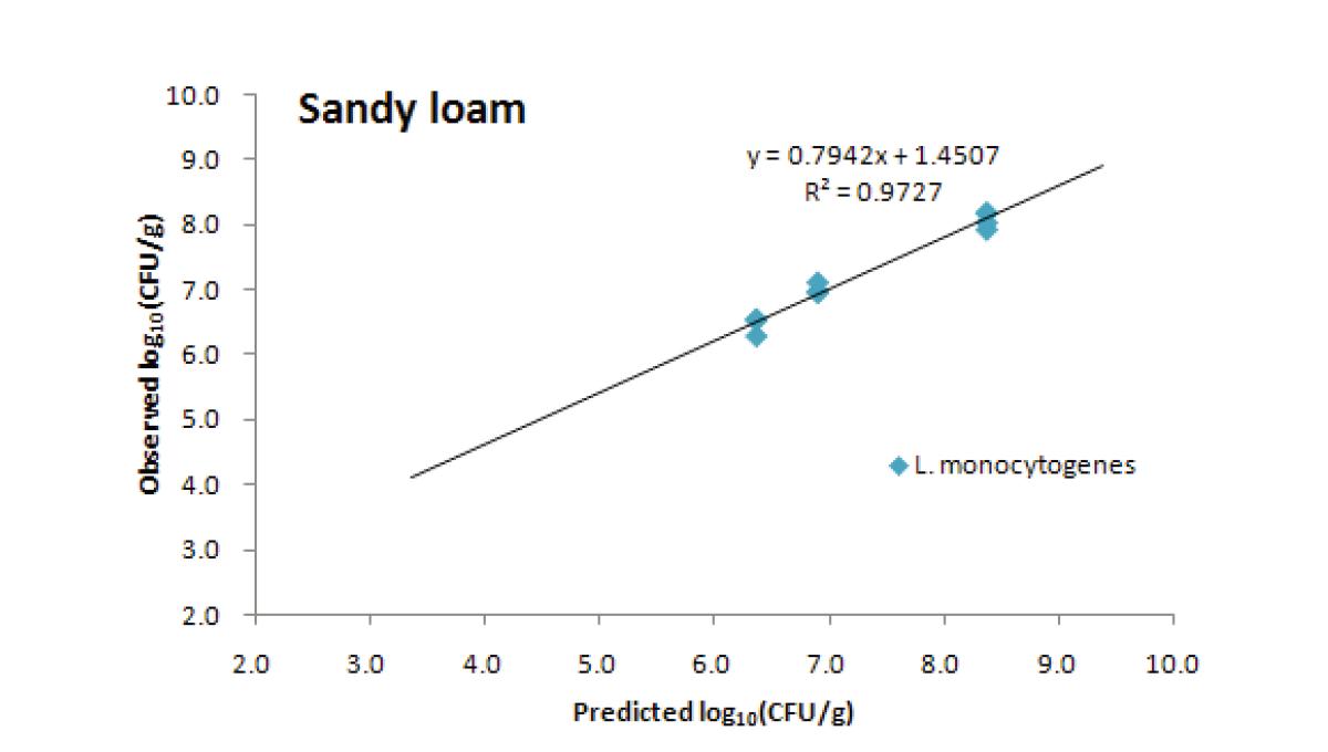 Comparison of L. monocytogenes counts in sandy loam soil with those levels predicted by counts in the inocula.