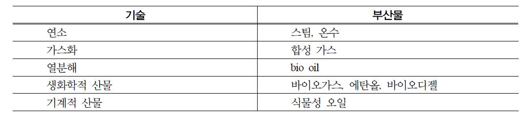 바이오매스의 1차 에너지 변환 기술