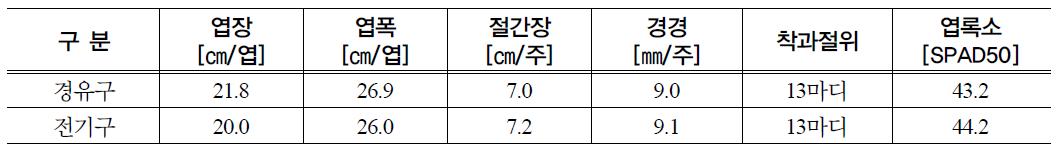 전기온풍난방기와 경유온풍난방기 멜론 생육