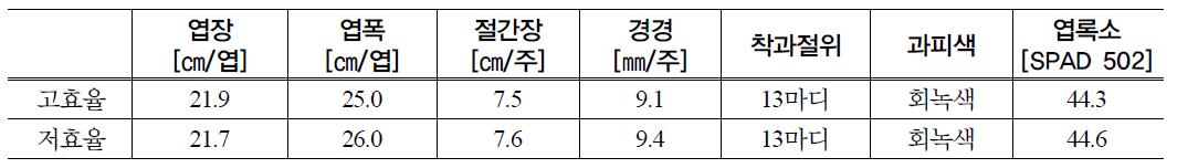 고효율 온풍난방기와 저효율 온풍난방기 멜론 생육