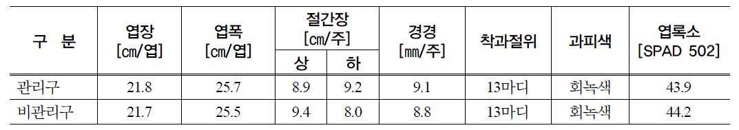 관리한 온풍난방기와 관리하지 않은 온풍난방기 멜론 생육