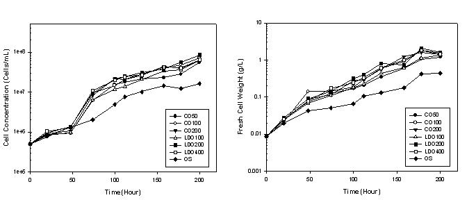 Time profiles of cell concentration(cells/mL) and fresh cell weight(g/L) in combination effect of artificial light and natural light.