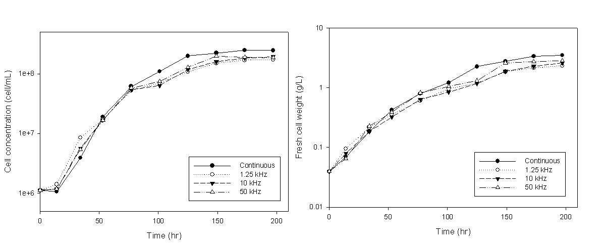 Time profiles of cell concentration(cells/mL) and fresh cell weight (g/L) in flashing light experiment.