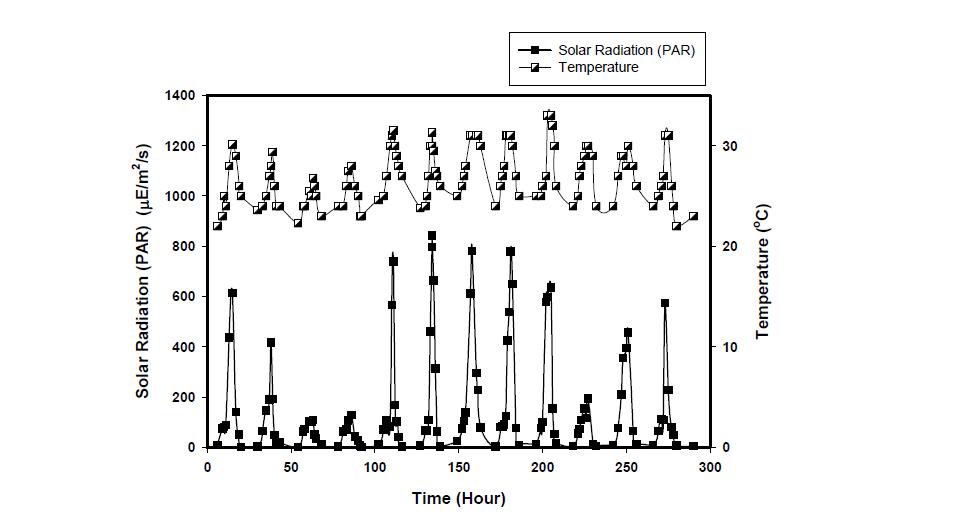 Solar radiation during the experimental periodfor semi-continuous PBRs.