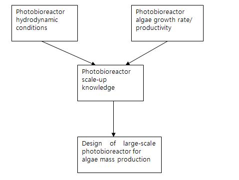 chematic showing how the information on the hydrodynamic conditions and algae growth rate and productivity in each small-scale photobioreactor type will be used as inputs for the design of the large-scale version of the photobioreactor.