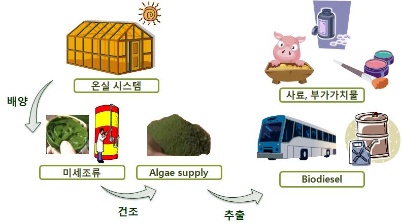 Application of this research for bio-diesel productionfrom microalgae.