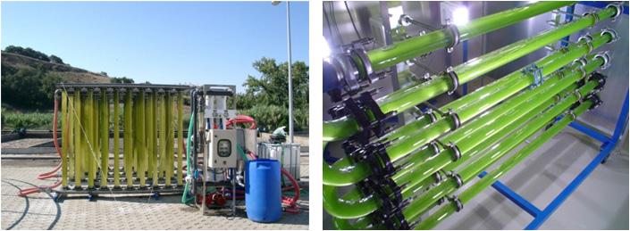 Photo-bioreactors for producing the microalgae.