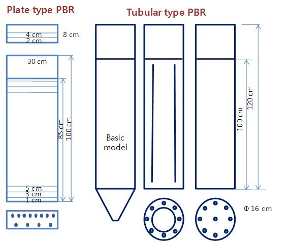 Dimensions for plate and tubular type PBRs.