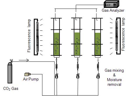 Experimental set-up of the CO2 experimentand validation experiment of the new model.