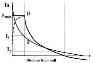 Local growth as a function of distance from the illuminated wall