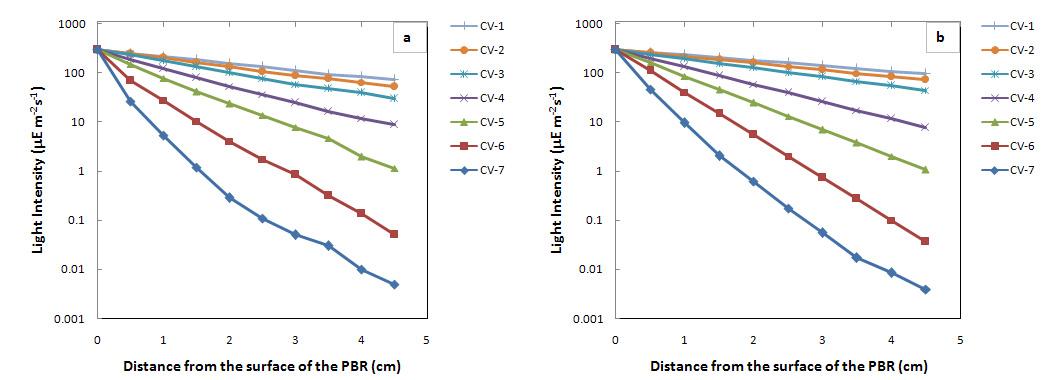 Light intensity distribution in the PBR with different cell concentration;(a) experiment and (b) computed.