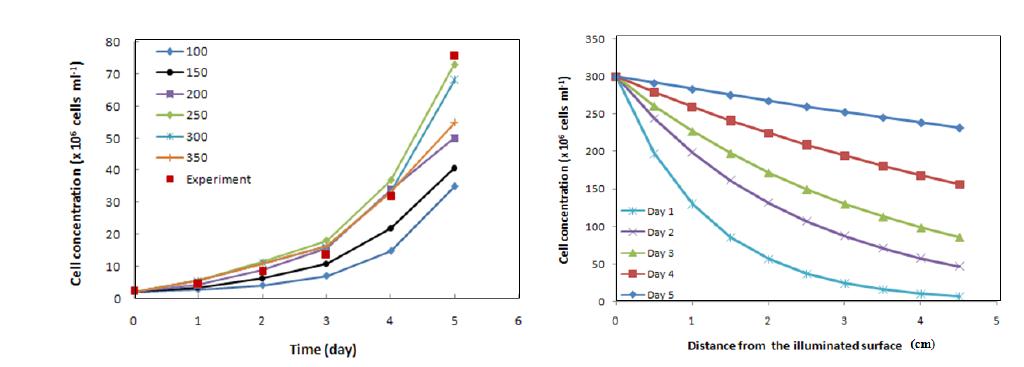 미세조류의 생장에 대한 광량의 효과 (좌) 및 PBR 내부의 깊이별 광량 (우).
