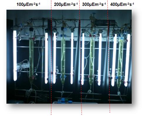 Artificial light source with different intensities.