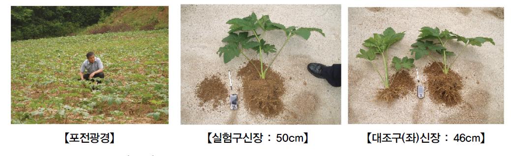 성장과정점검(6.21).