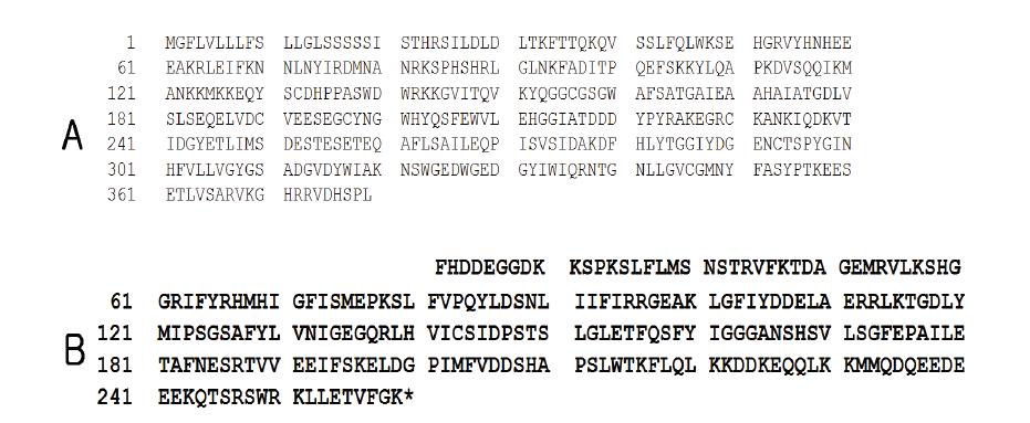 Amino acid sequence of the precursor of Gly m Bd 30K(P34 protein: A) and Glym bd 28K(B).