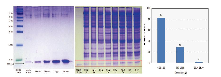 SDS-PAGE of protein marker, standard lunasin and seeds extract and distribution of lunasin content.