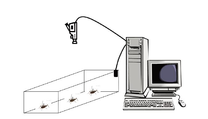 카메라-마이크-컴퓨터로 구성된 방울벌레 관찰 시스템.