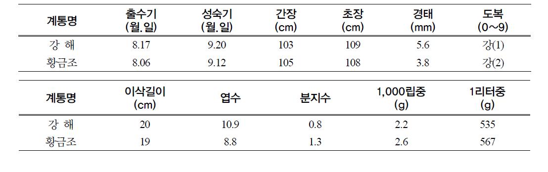 강해의 생육 및 이삭 특성