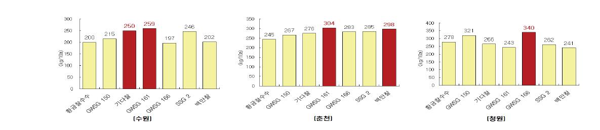 논 재배 적응 시험 수수의 수량성