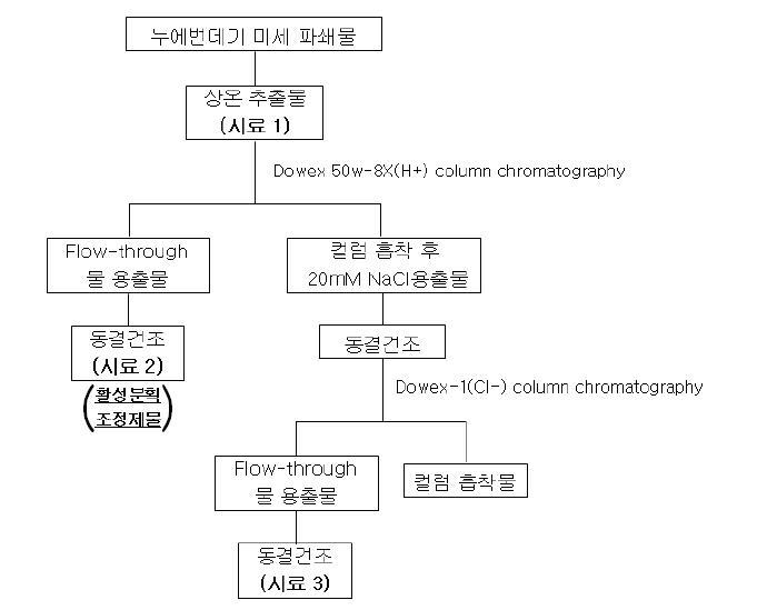 활성 유효 물질의 분리 및 정제 과정.