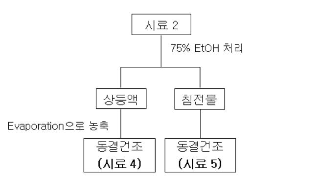 조정제된 물질의 에탄올 처리 과정.