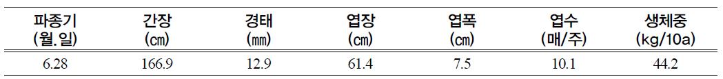 수수 지상부 생육특성