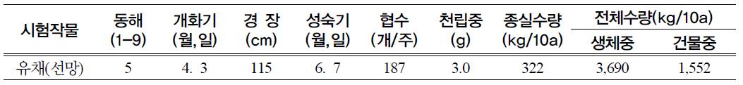 유채 생육특성 및 수량성