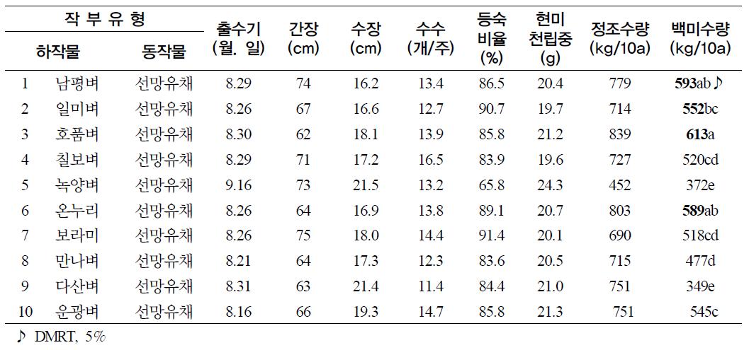 벼 생육특성 및 수량