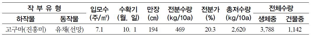 고구마 생육특성 및 수량