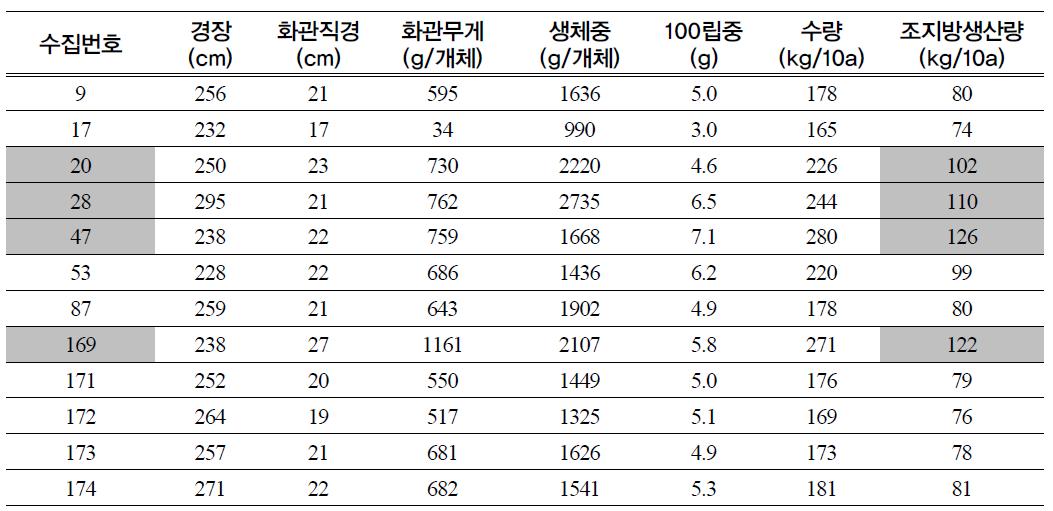 해바라기 유전자원 특성검정(’08, 충북수집)