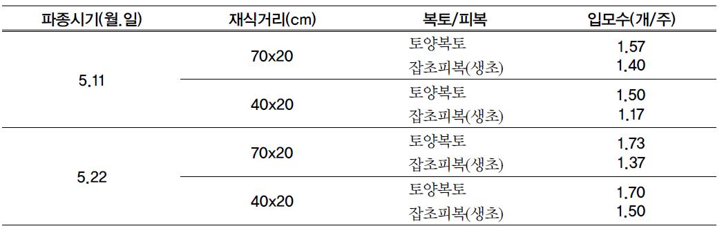 옥수수 무경운 파종방법에 따른 입모수