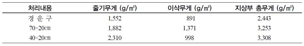 옥수수 무경운 재배조건에서 지상부 건물중