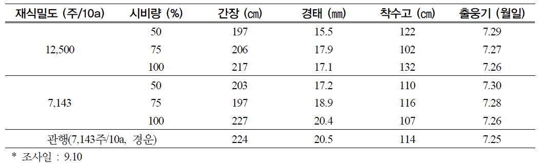 옥수수 무경운 직파재배시 재식밀도 및 시비량에 따른 옥수수 후기 생육