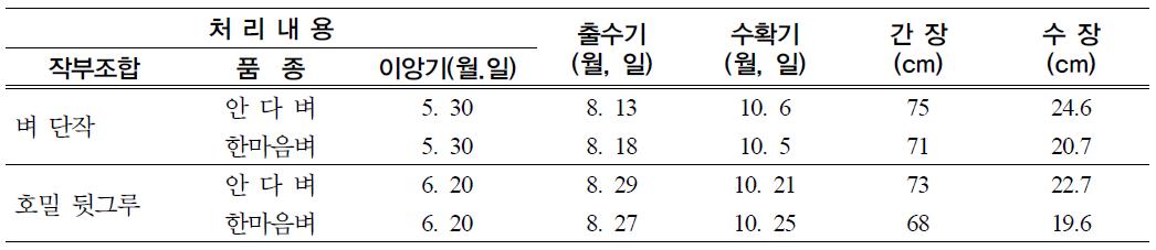 벼 출수기 및 생육