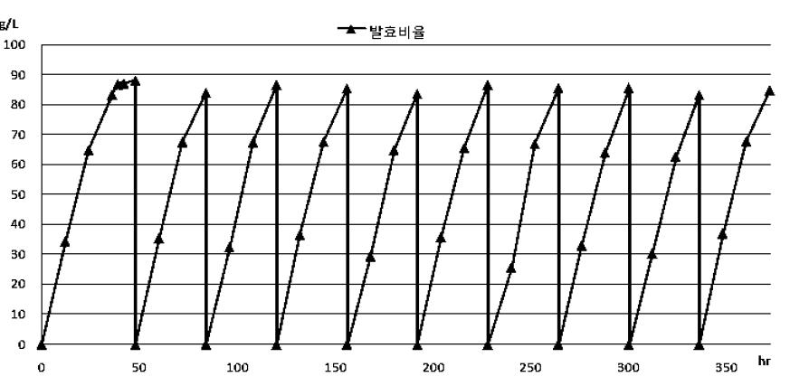 재순환 비율 5% 발효비율.