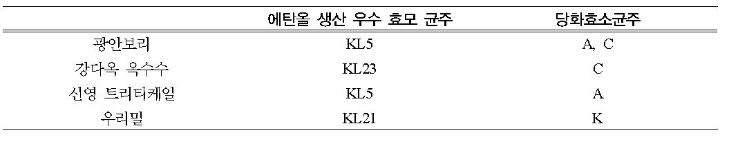 곡류별 우수 에탄올 균주 및 우수당화효소 균주