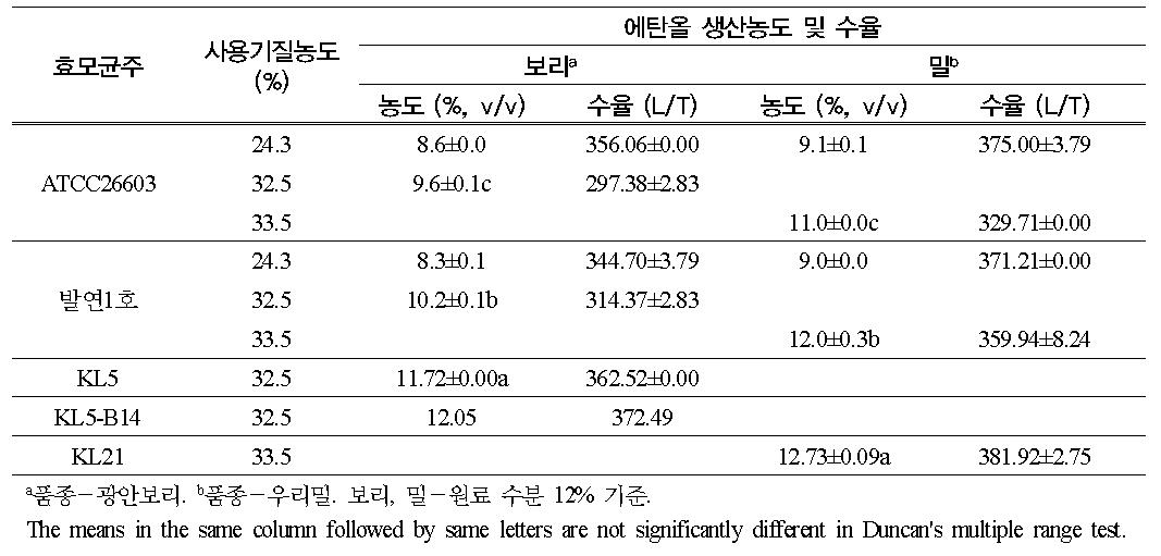 기존균주와 개발된 균주간의 보리, 밀로부터 에탄올 생산농도 및 수율비교