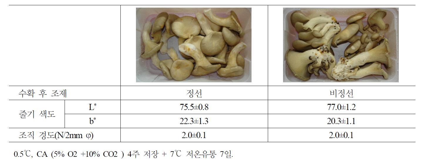 봄 재배 ‘신농’ 느타리 버섯의 정선 여부에 따른 4주 저장+7일 유통 후 품질.