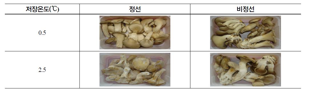 봄재배 느타리 버섯의 저장온도에 따른 4주 저장 직후 상품성.