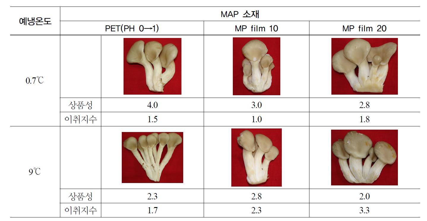느타리 버섯의 예냉온도와 MAP 소재에 따른 4주 운송 + 7일 유통 후 외관 품질 및 이취지수 비교.