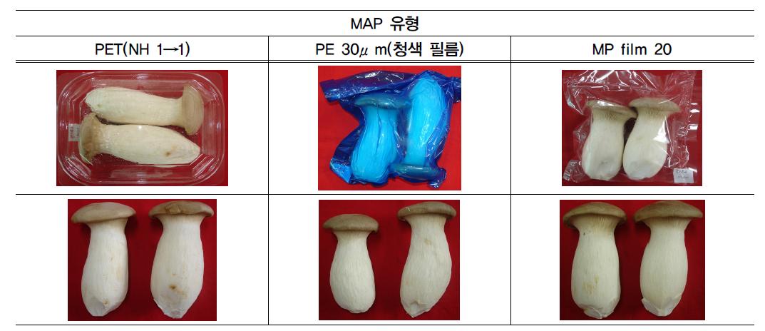 2009 봄 재배 큰느타리 버섯의 MA 환경별 한지처리에 따른 6주 모의수송+7일 저온유통후 외관 품질 비교.