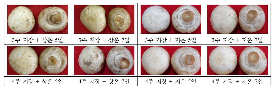 2007 여름재배 양송이 버섯의 CA 저장기간 및 유통조건에 따른 품질.