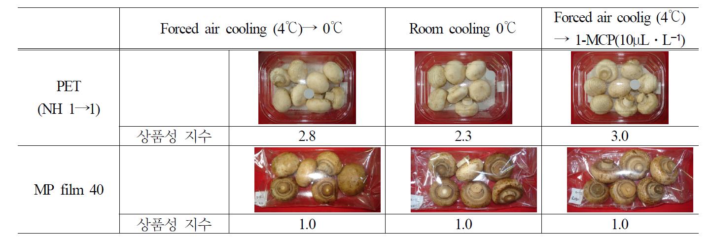 양송이 버섯의 수확 후 처리 및 MA 환경에 따른 4주 모의 수송 및 7일 저온유통 후 버섯외관 품질 비교.