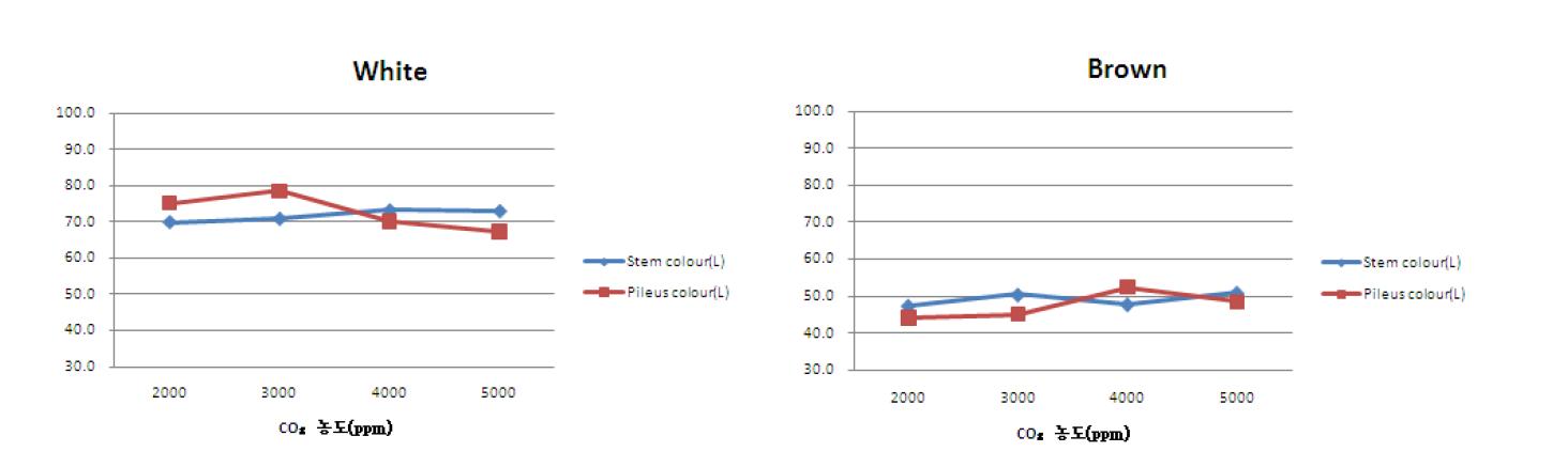 팽이 버섯 탄산가스 농도별 자실체 색도 변화