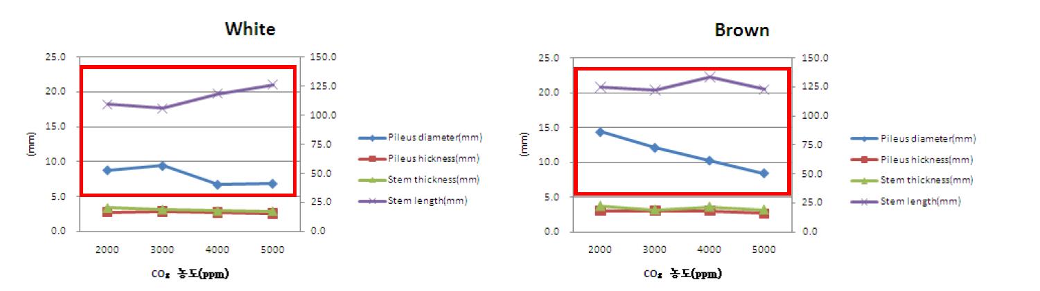팽이 버섯 탄산가스 농도별 자실체 특성 변화.