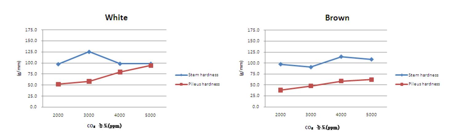 팽이 버섯 탄산가스 농도별 경도 변화.