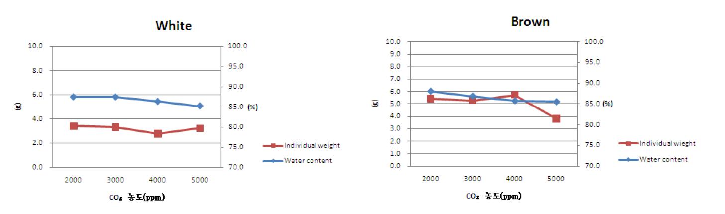 팽이 버섯 탄산가스 농도별 개체중량/수분함량 변화.