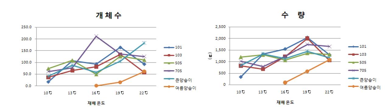 온도조건에 따른 양송이 품종별 개체수 및 생산성(상자재배) .