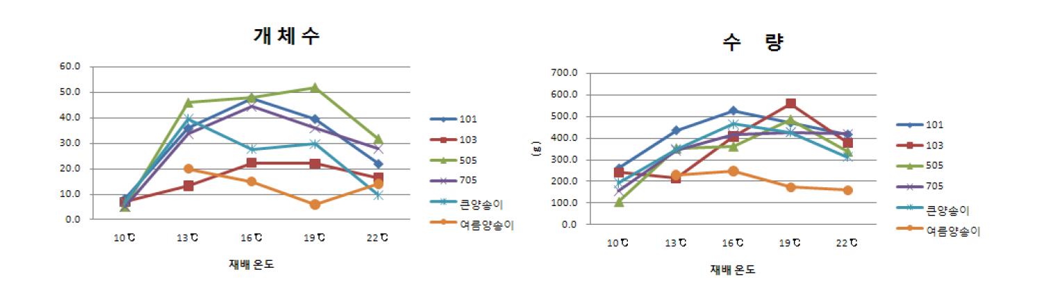 온도조건에 따른 양송이 품종별 개체수 및 생산성(봉지재배2.4kg).